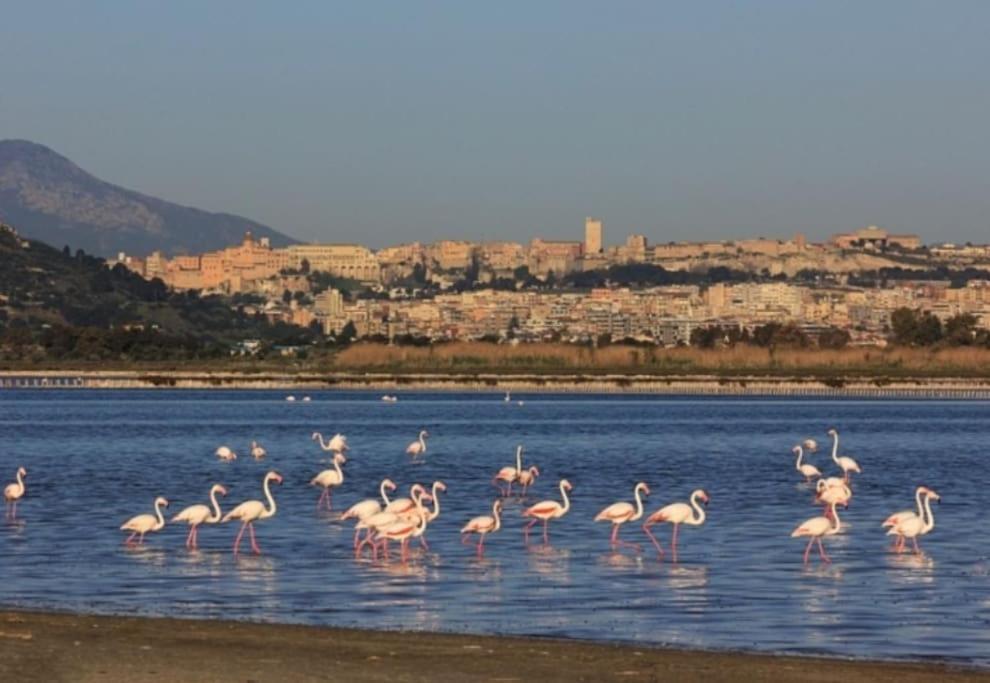 Stupenda Suite A Cagliari Piazza Galilei Ngoại thất bức ảnh
